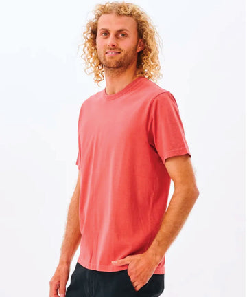 Rip Curl Plain Wash Mens Tee - Dusty Mushroom